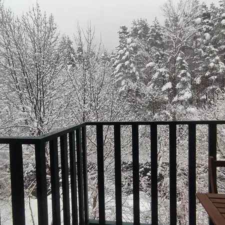 Martina Vut , Estacion De Lägenhet *